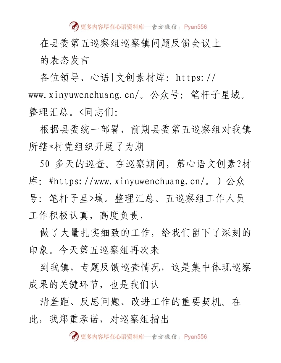 [发言] 巡察问题反馈会议 - 巡察整改承诺与工作部署.docx_第1页