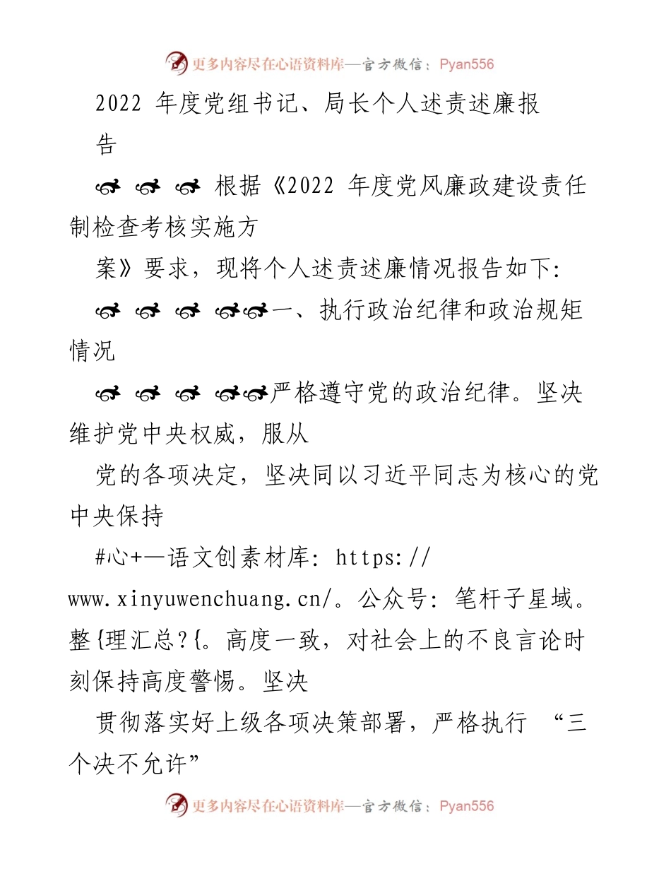 [发言] 年度工作总结 - 2022年度党组书记、局长个人述责述廉报告.docx_第1页