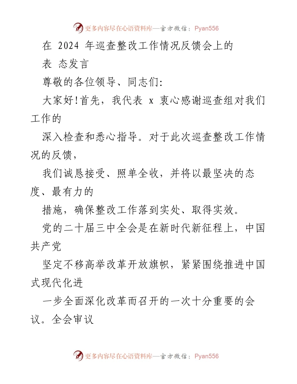 [发言] 巡查整改工作情况反馈会 - 深入落实整改工作，推动中国式现代化.docx_第1页