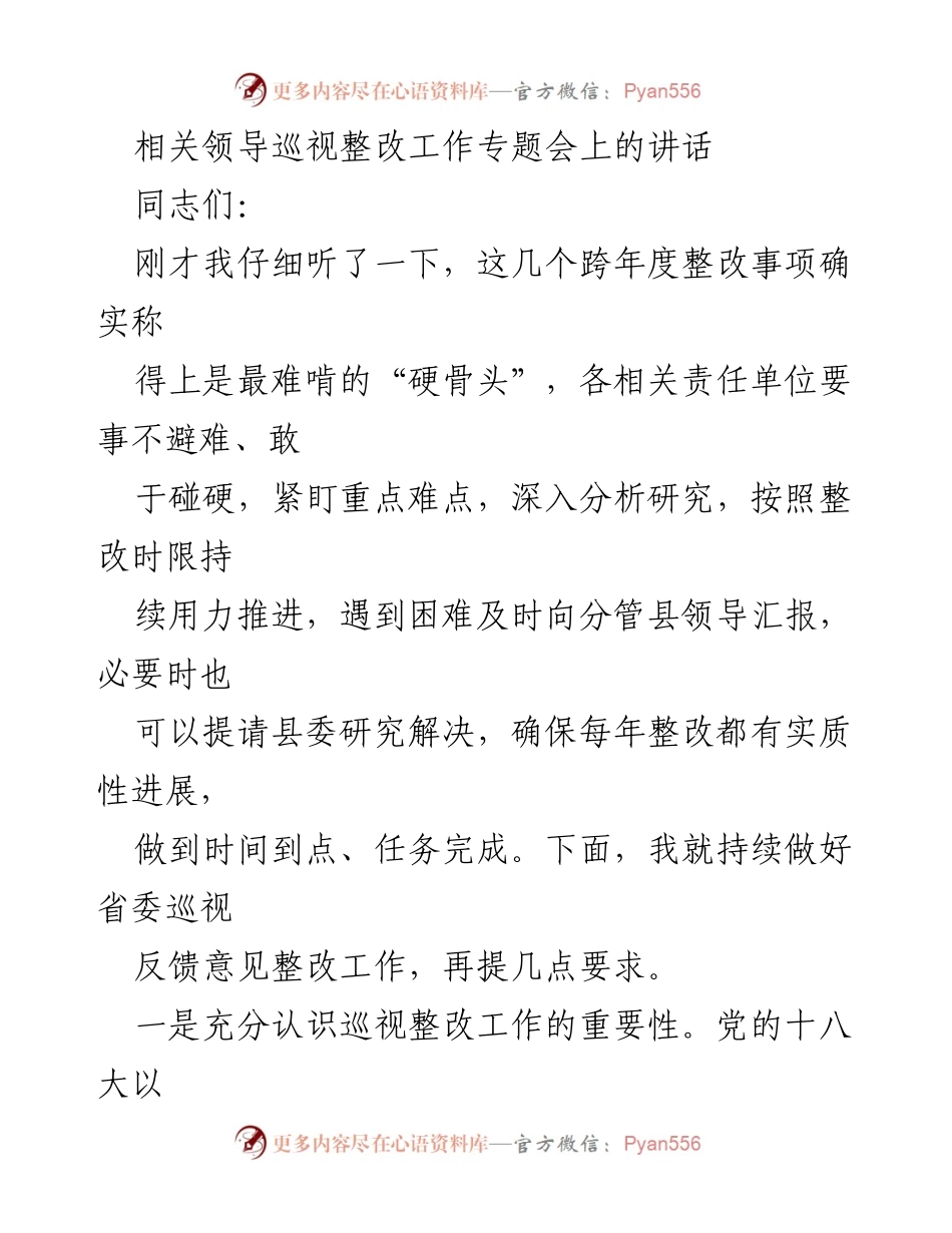 [发言] 巡视整改工作专题会 - 强调巡视整改工作的重要性与紧迫性.docx_第1页