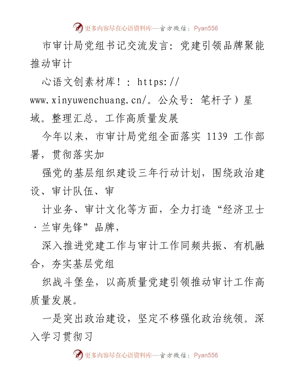 [发言] 市审计局党组交流会 - 党建引领审计高质量发展.docx_第1页