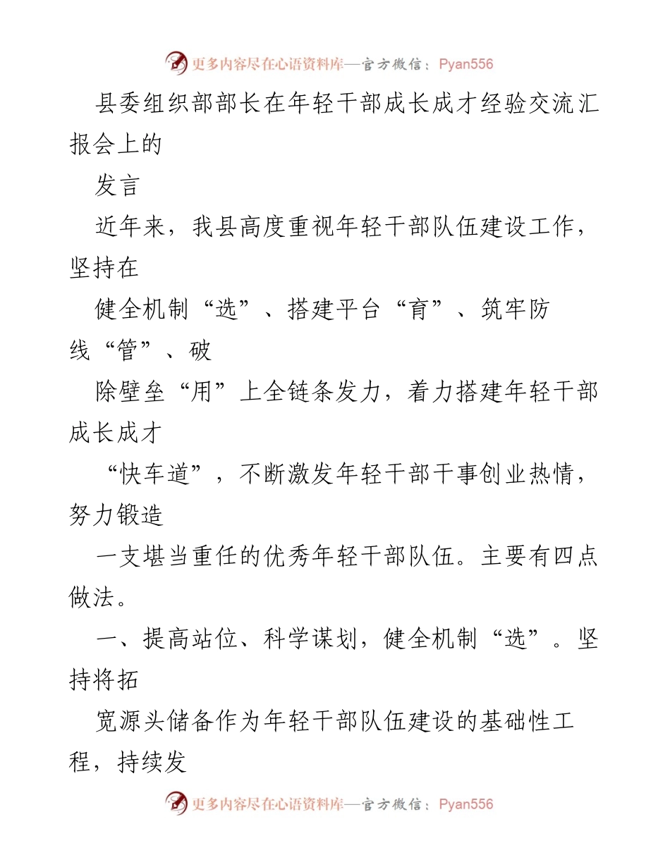 [发言] 年轻干部成长成才经验交流汇报会 - 加快年轻干部成长成才的全链条机制探索.docx_第1页