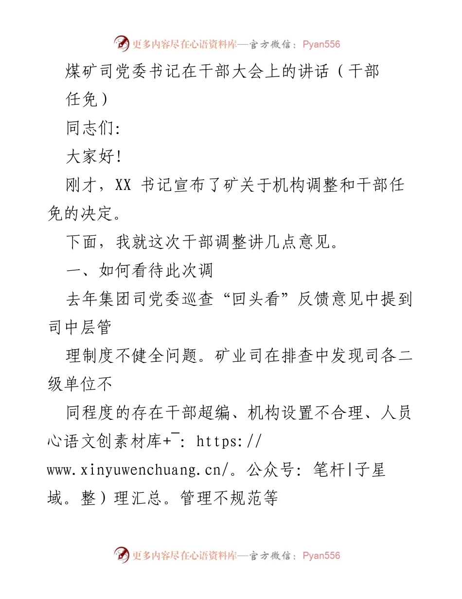 [发言] 干部大会 - 煤矿干部调整与管理思考讲话.docx_第1页