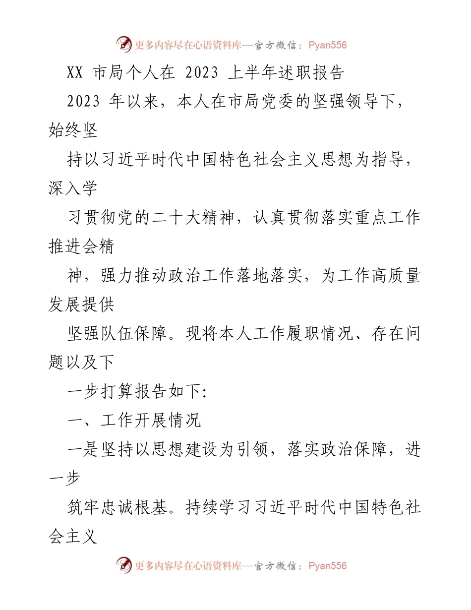 [发言] 市局述职会议 - 2023年上半年个人述职报告总结.docx_第1页