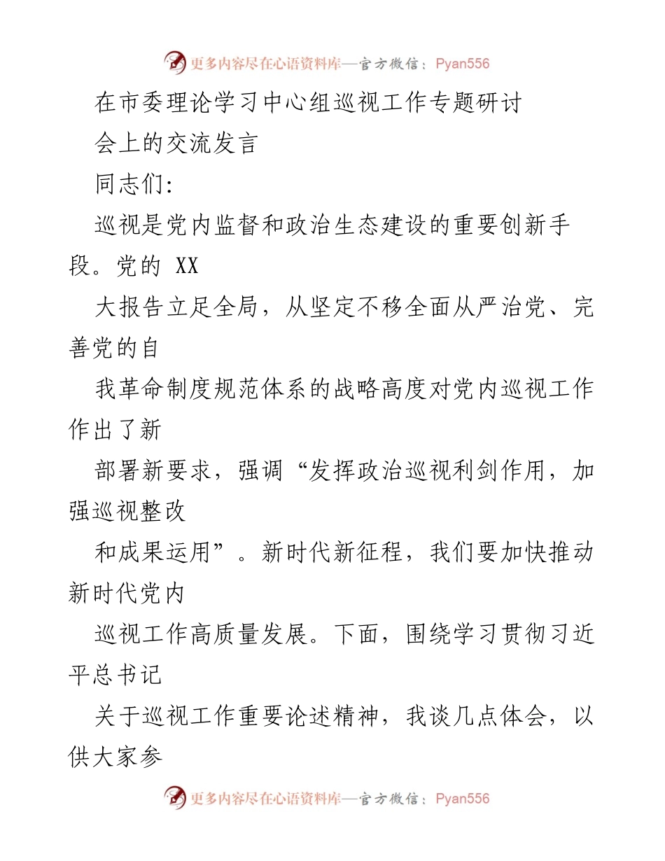 [发言] 市委理论学习中心组巡视工作专题研讨会 - 深化政治巡视认识，推动高质量发展.docx_第1页