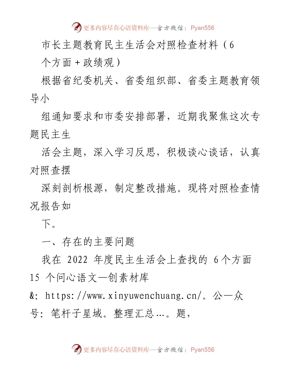 [发言] 市长主题教育民主生活会 - 对照检查材料及整改措施总结.docx_第1页