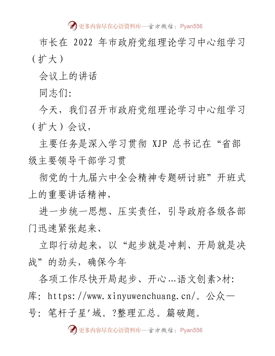 [发言] 市政府党组理论学习中心组学习（扩大）会议 - 深入学习贯彻总书记讲话精神，推动年度工作开局起步.docx_第1页
