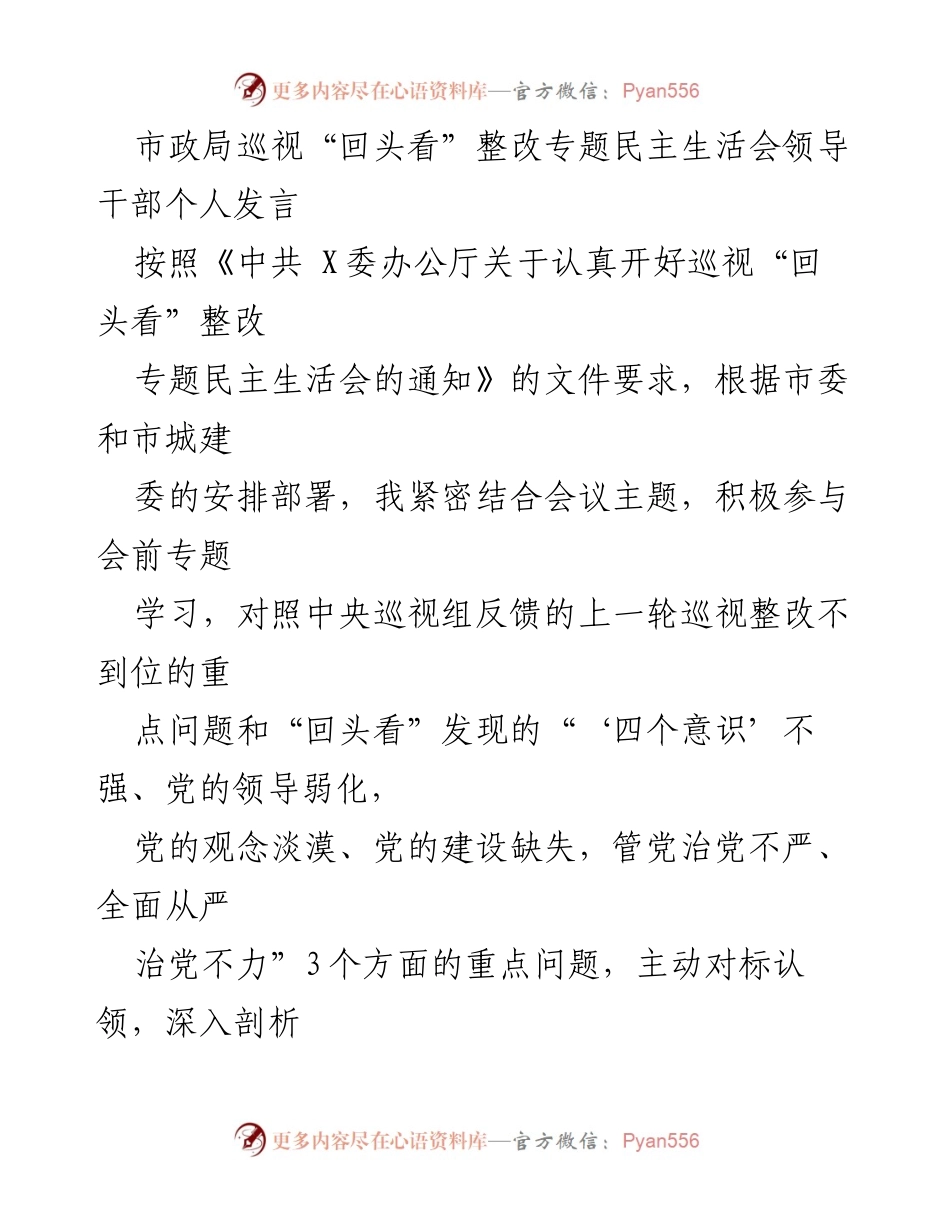 [发言] 市政局巡视整改专题民主生活会 - 个人对照检查与整改反思.docx_第1页