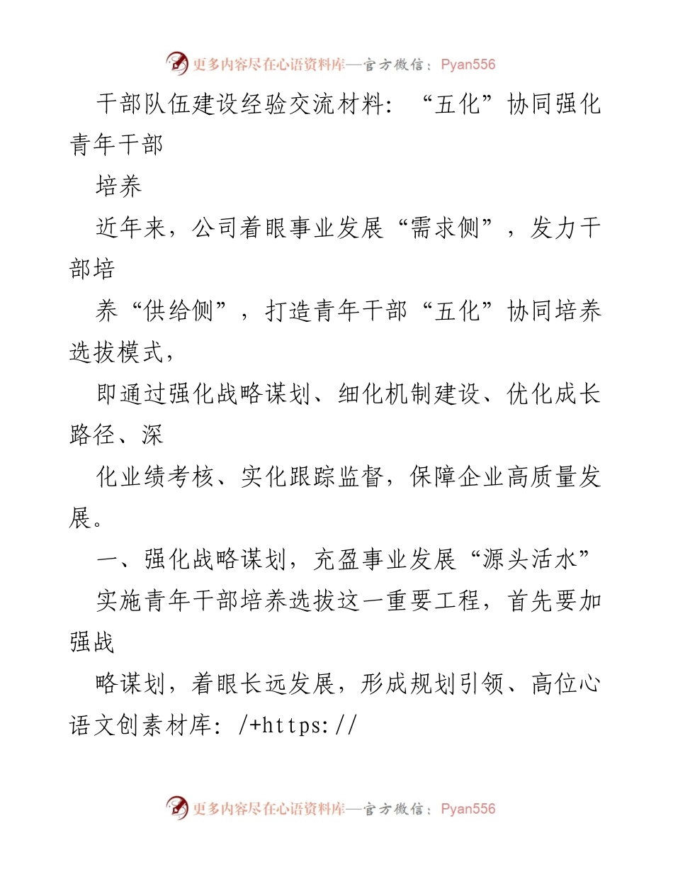 [发言] 干部队伍建设经验交流会 - 强化青年干部培养的“五化”协同模式.docx_第1页