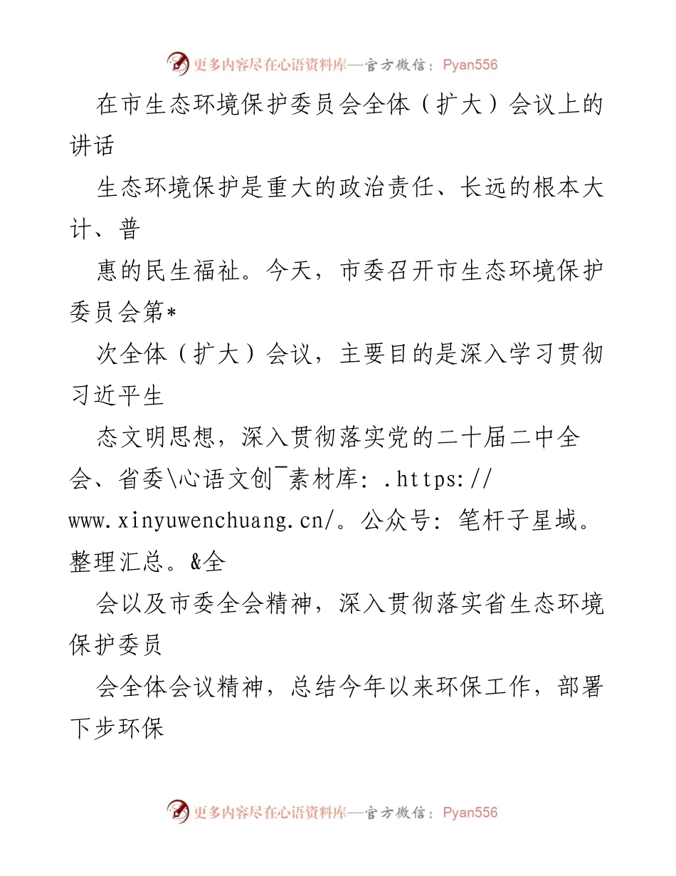 [发言] 市生态环境保护委员会全体（扩大）会议 - 深入学习贯彻习近平生态文明思想，推动绿色发展与环保工作落实.docx_第1页