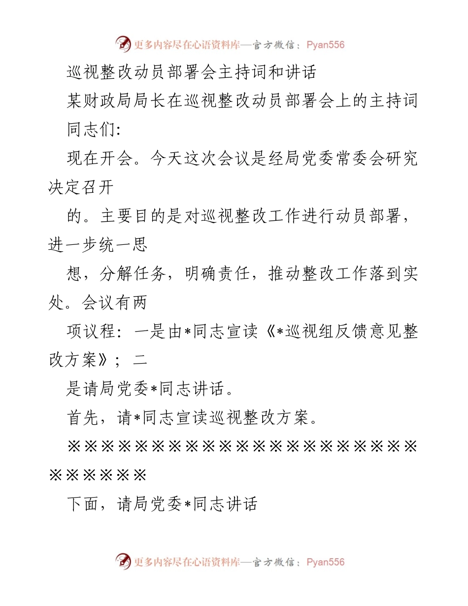[发言] 巡视整改动员部署会 - 巡视整改工作动员部署及责任落实讲话.docx_第1页