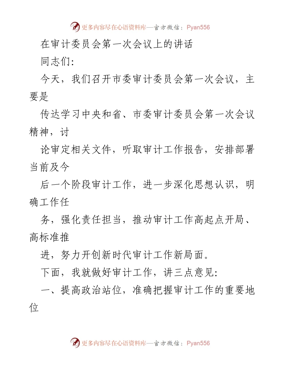 [发言] 市委审计委员会第一次会议 - 深化审计工作，推动高标准开局_1.docx_第1页