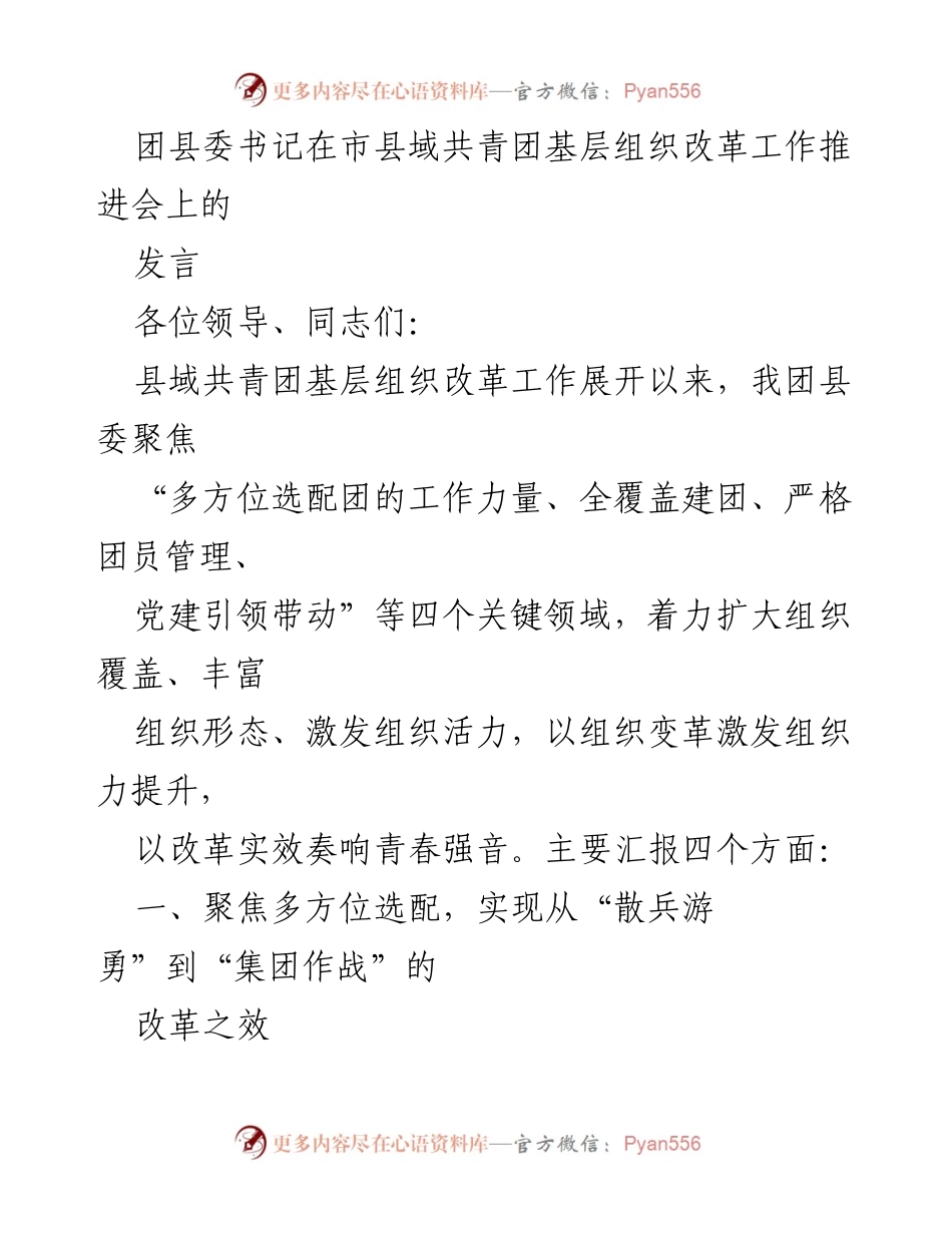 [发言] 市县域共青团基层组织改革工作推进会 - 推动团组织改革，激发青春力量.docx_第1页