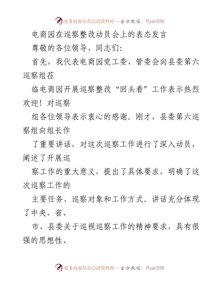 [发言] 巡察整改动员会 - 电商园对巡察整改工作的表态发言.docx_第1页