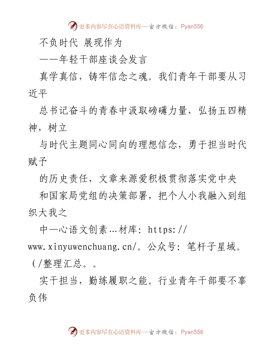 [发言] 年轻干部座谈会 - 不负时代，勇担责任：年轻干部的使命与担当.docx_第1页