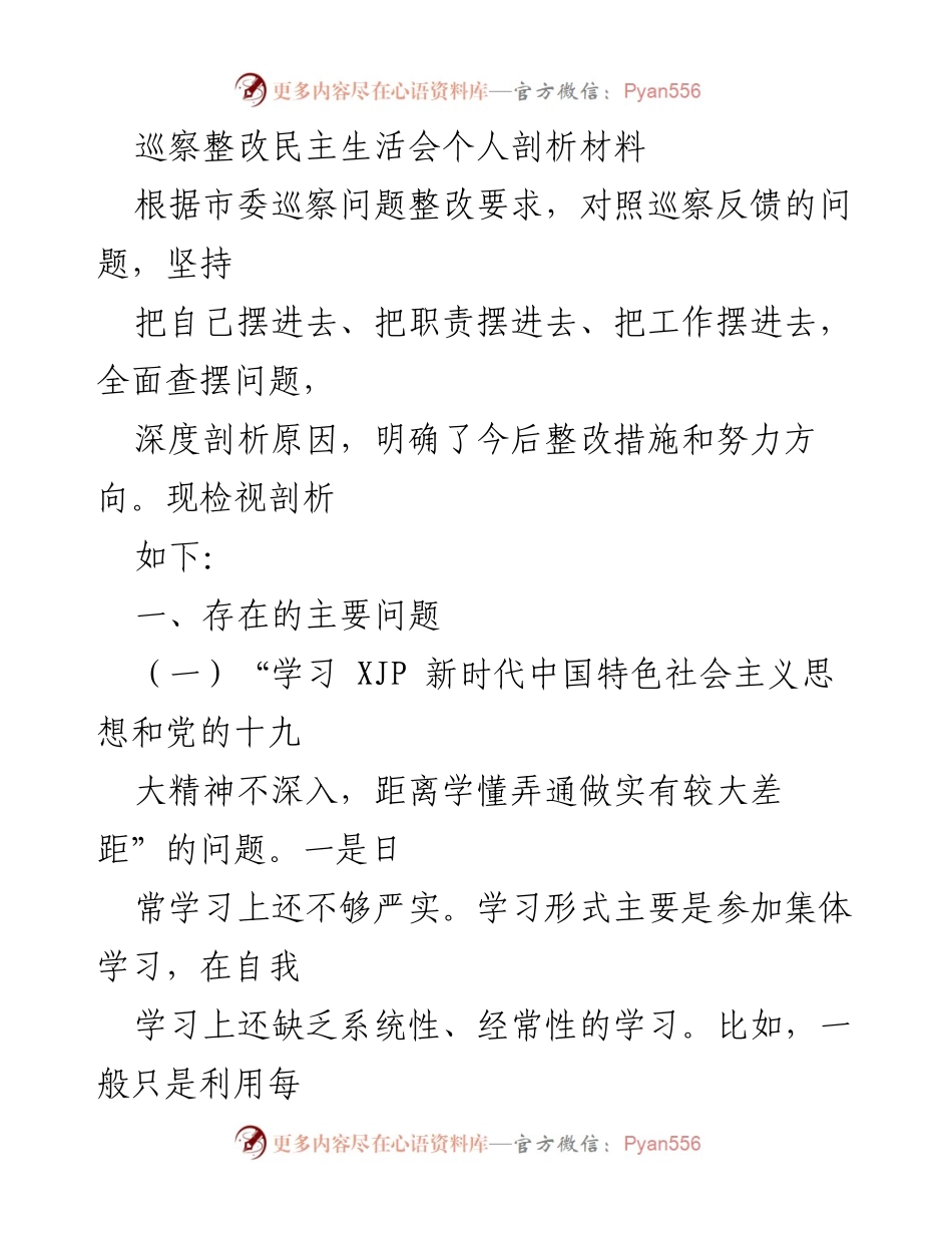 [发言] 巡察整改民主生活会 - 深度剖析问题与整改措施.docx_第1页