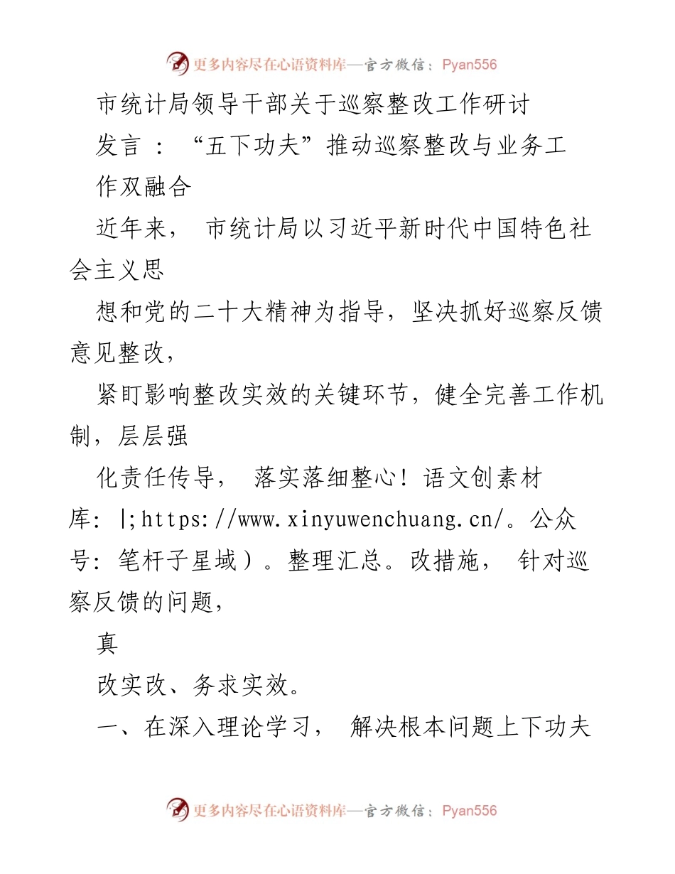 [发言] 市统计局巡察整改工作研讨 - “五下功夫”推动巡察整改与业务工作双融合.docx_第1页