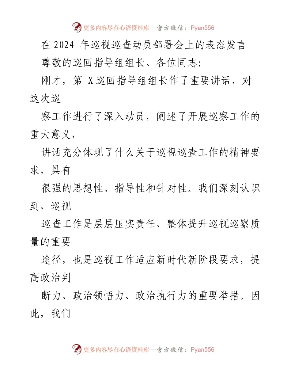 [发言] 巡视巡查动员部署会 - 巡察工作的重要性与我们应对措施的表态发言.docx_第1页