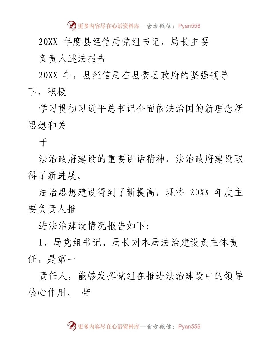 [发言] 年度总结会议 - 20XX年度县经信局法治建设述法报告.docx_第1页