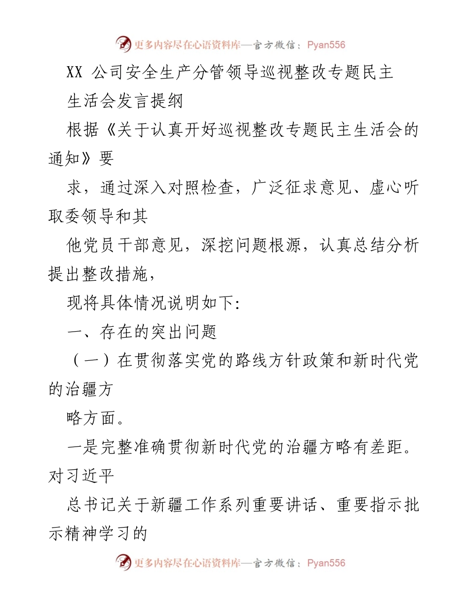 [发言] 巡视整改专题民主生活会 - 深入反思与整改：安全生产领域的党性修养与责任落实.docx_第1页