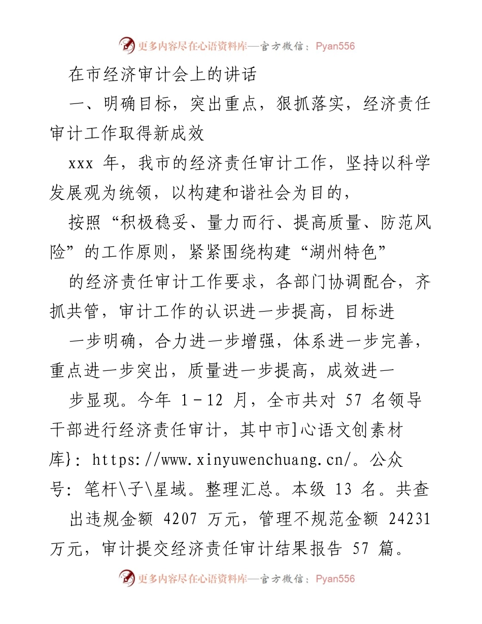 [发言] 市经济审计会 - 强化经济责任审计，推动领导干部依法履责新成效.docx_第1页