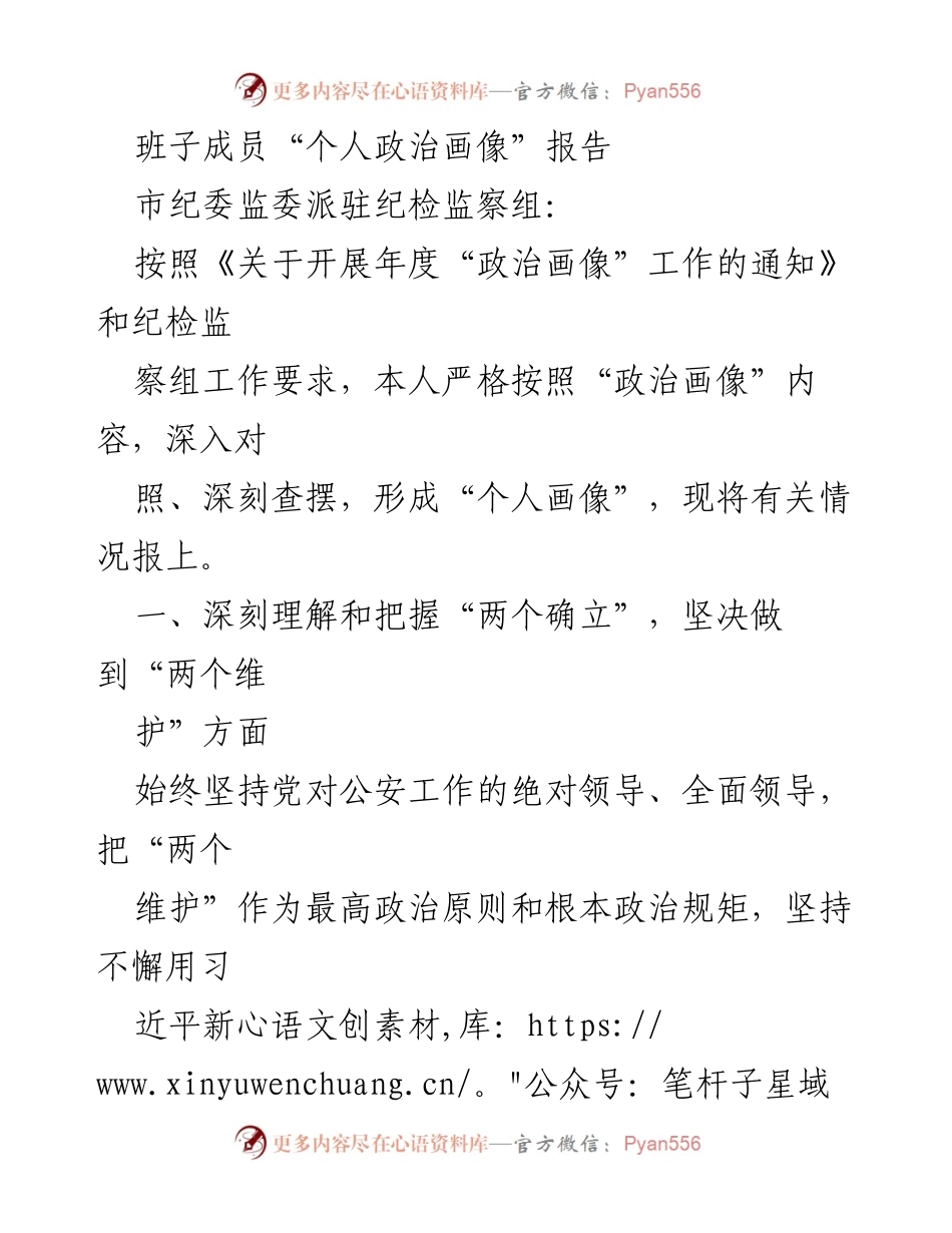 [发言] 年度政治画像工作汇报 - 班子成员个人政治画像报告.docx_第1页