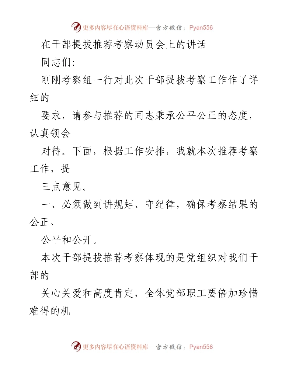 [发言] 干部提拔推荐考察动员会 - 确保干部提拔考察公正公平的三点意见.docx_第1页