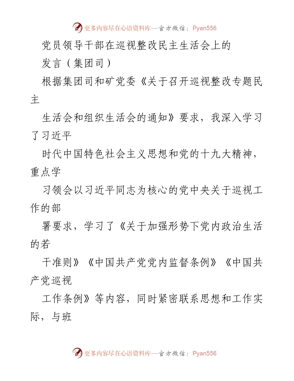 [发言] 巡视整改专题民主生活会 - 深入剖析巡视整改中存在的问题与整改措施.docx_第1页