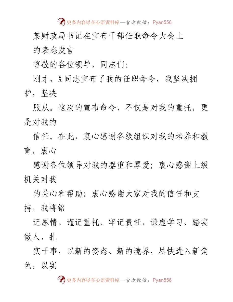 [发言] 干部任职命令大会 - 新任职干部的表态承诺与责任担当.docx_第1页