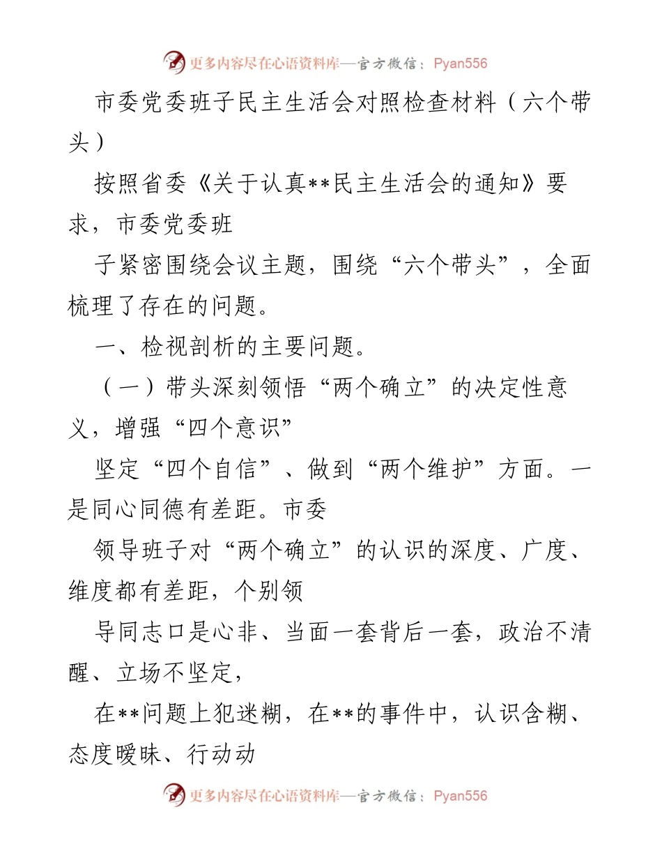 [发言] 市委党委班子民主生活会 - 深刻检视问题，增强政治意识，推动工作落实.docx_第1页