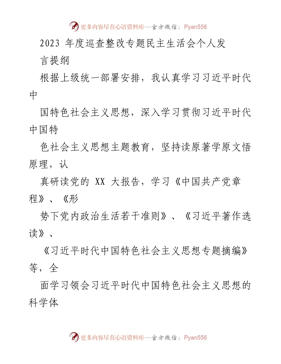 [发言] 年度巡查整改专题民主生活会 - 个人发言提纲及整改措施汇报.docx_第1页