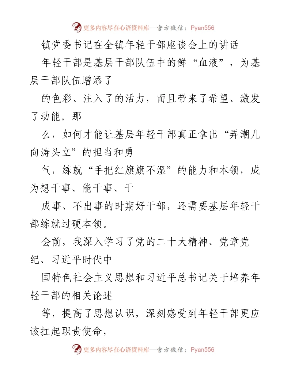 [发言] 年轻干部座谈会 - 培养年轻干部，提升担当与能力.docx_第1页
