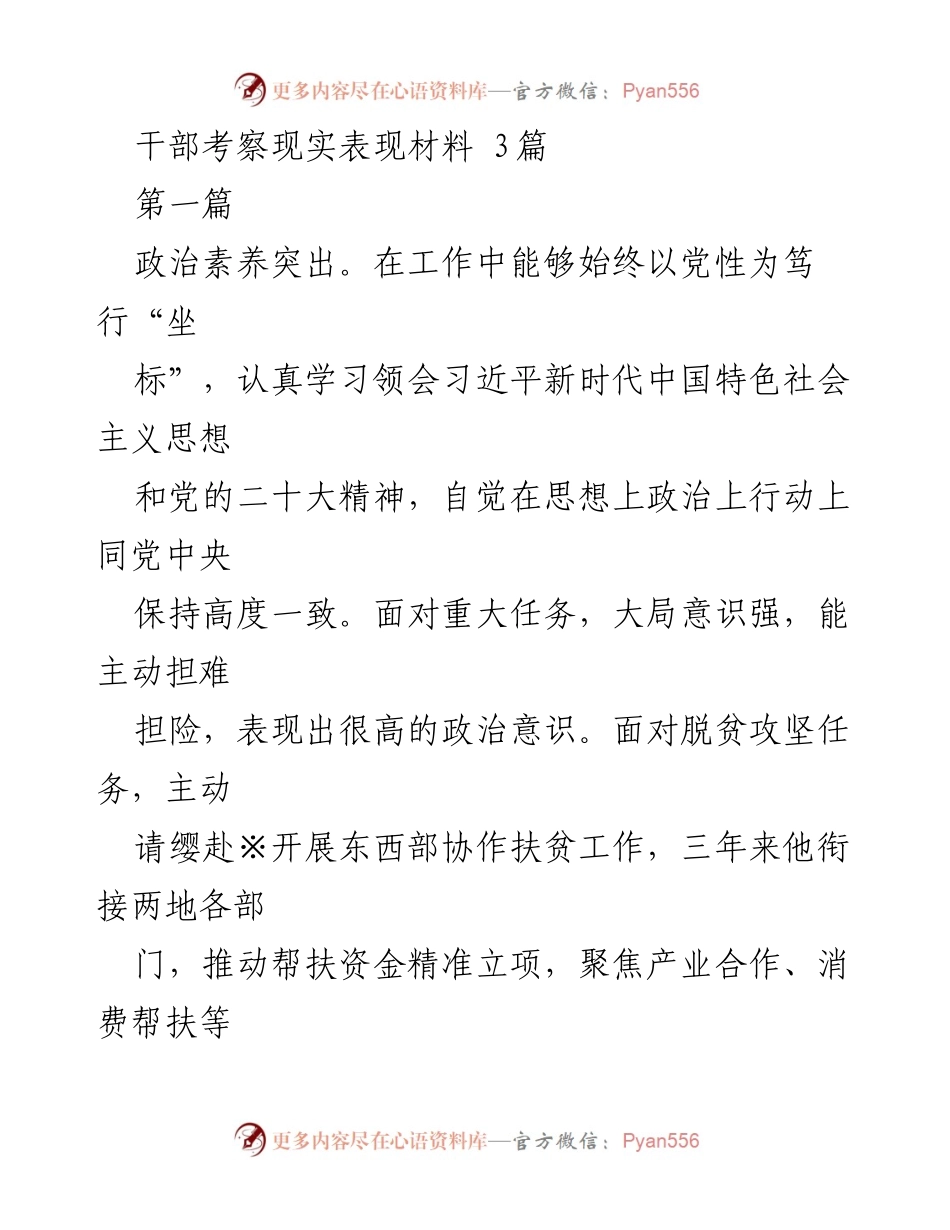 [发言] 干部考察 - 干部现实表现考察材料总结.docx_第1页