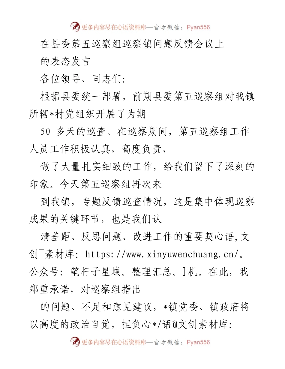 [发言] 巡察问题反馈会议 - 巡察反馈会议表态发言.docx_第1页