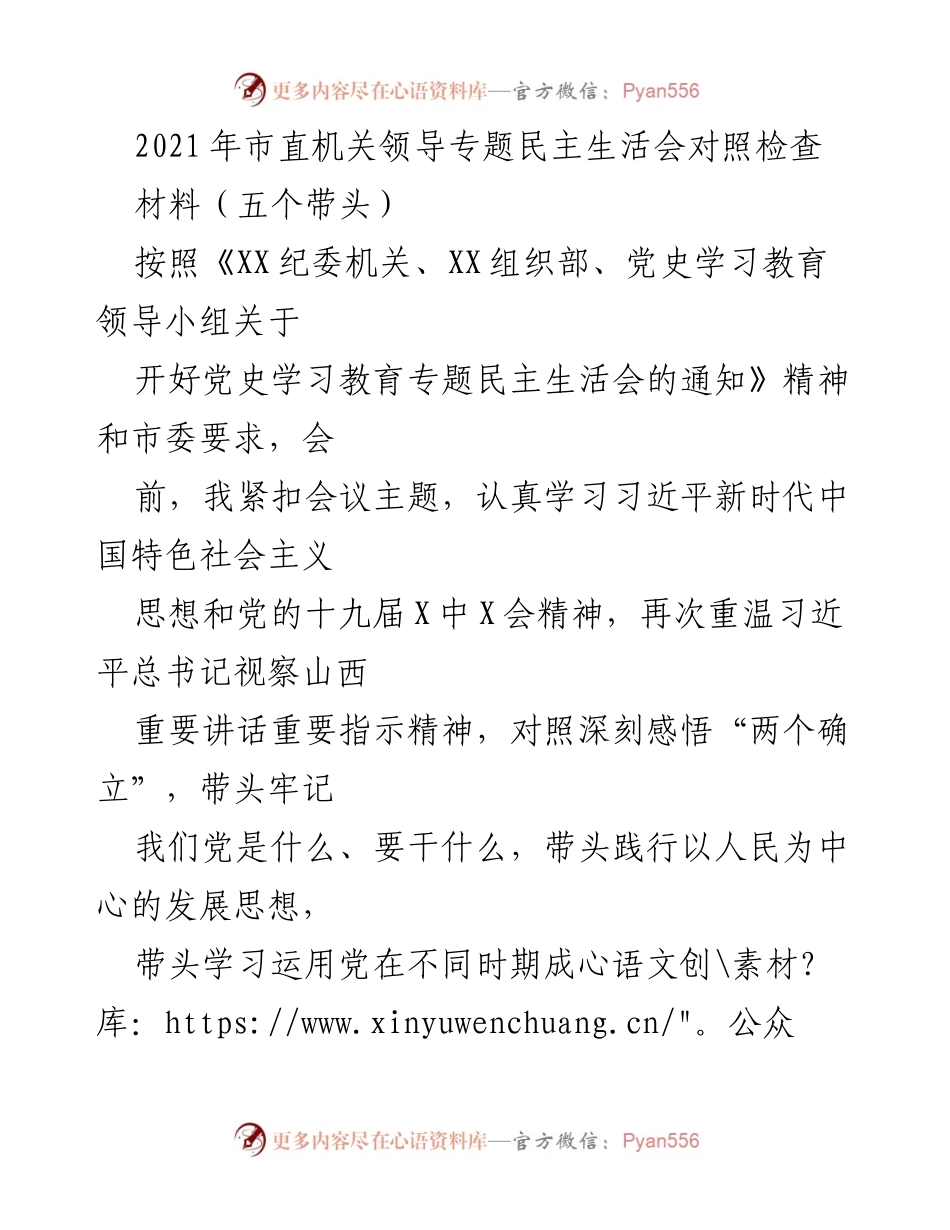 [发言] 市直机关领导专题民主生活会 - 个人对照检查与问题剖析报告.docx_第1页