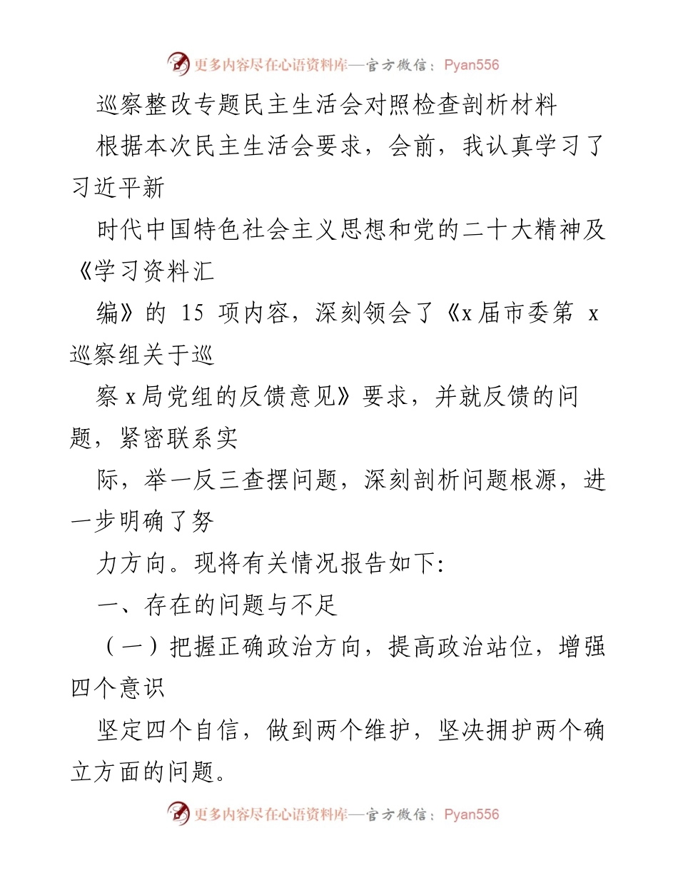 [发言] 巡察整改专题民主生活会 - 深刻剖析巡察反馈问题，提升政治监督责任.docx_第1页