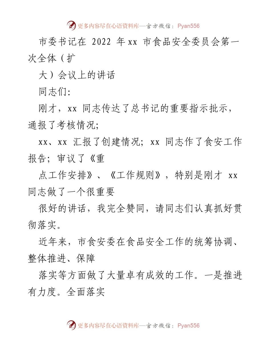 [发言] 市食品安全委员会第一次全体（扩大）会议 - 市委书记关于食品安全工作的讲话及整改措施.docx_第1页