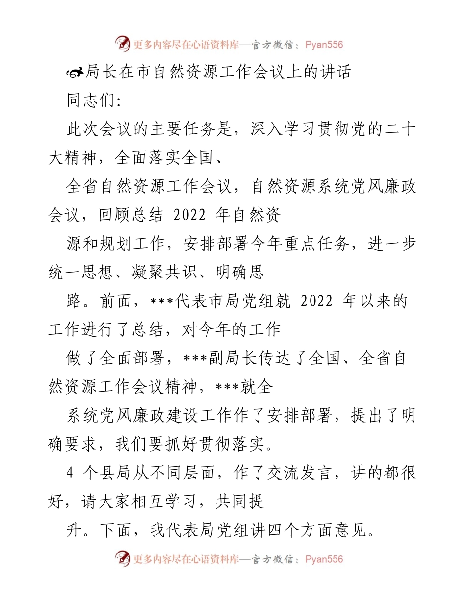 [发言] 市自然资源工作会议 - 深入学习贯彻党的二十大精神，展现自然资源系统新担当.docx_第1页