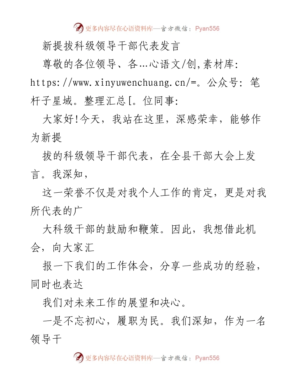 [发言] 干部大会 - 新提拔科级领导干部的责任与使命.docx_第1页