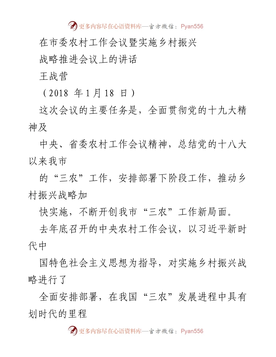 [发言] 市委农村工作会议 - 推动乡村振兴战略的实施与发展.docx_第1页