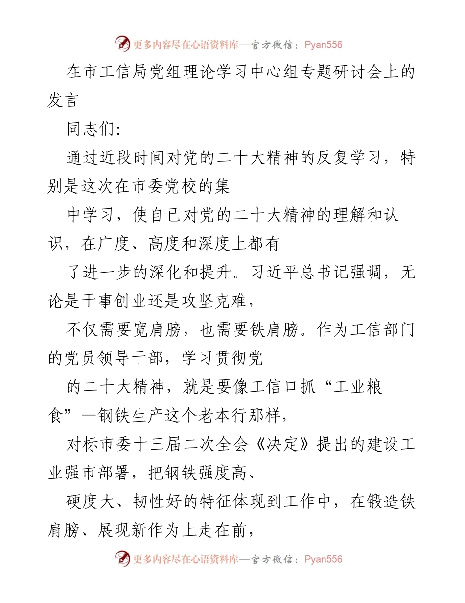 [发言] 市工信局党组理论学习中心组专题研讨会 - 深入学习贯彻党的二十大精神的实践与思考.docx_第1页