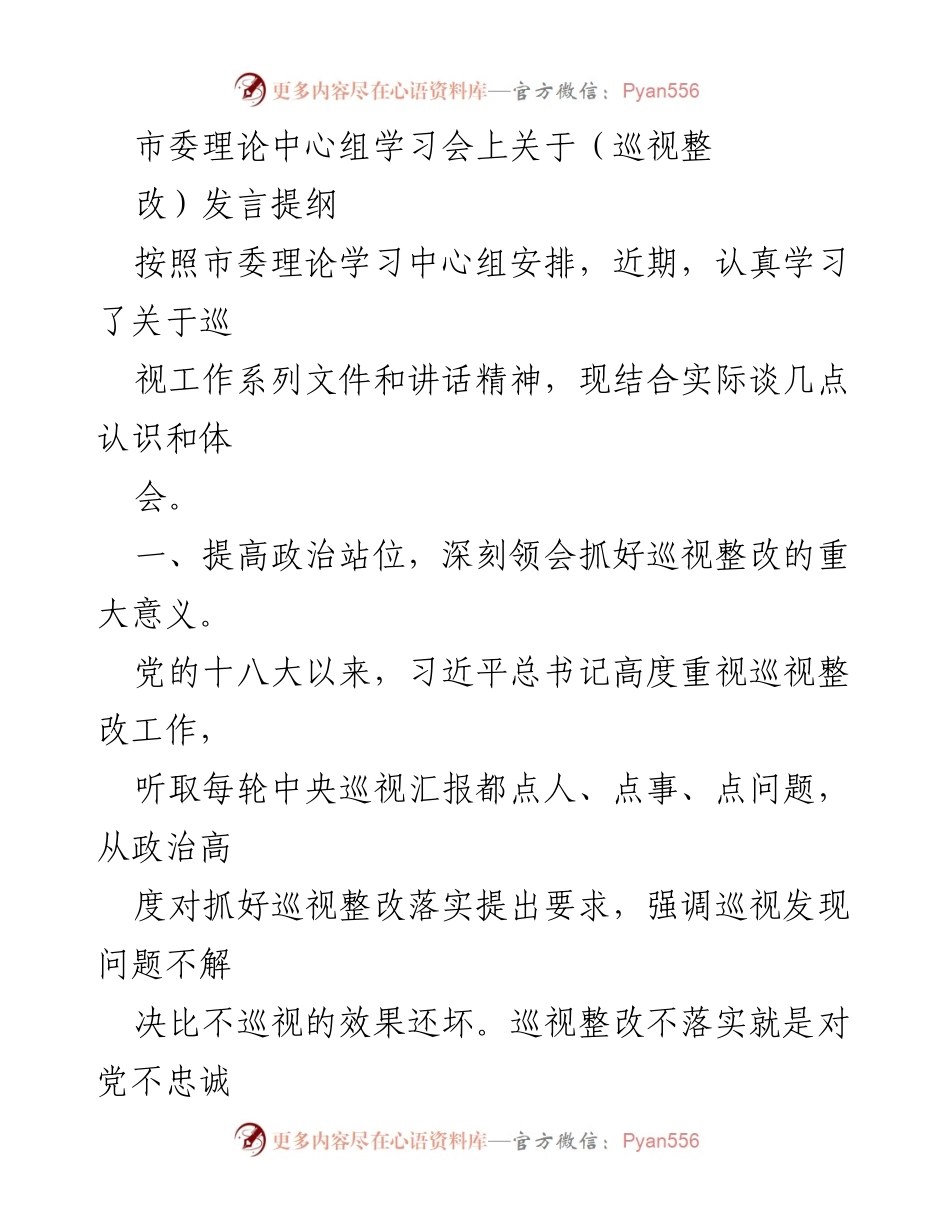 [发言] 市委理论中心组学习会 - 深刻认识巡视整改的重要性与落实路径.docx_第1页