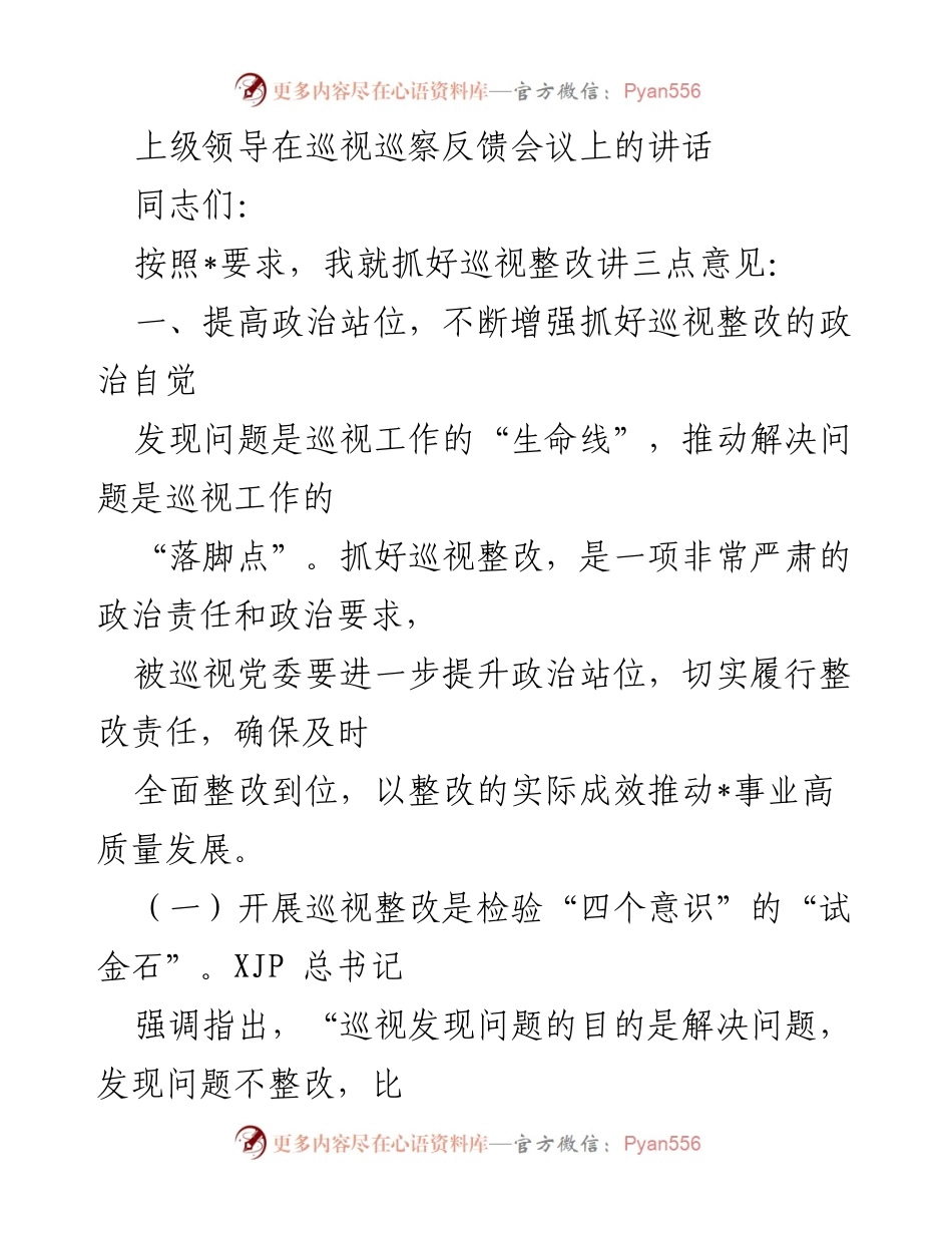 [发言] 巡视巡察反馈会议 - 抓好巡视整改的政治责任与实际成效.docx_第1页