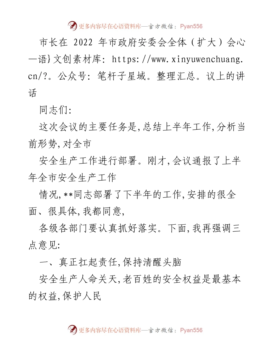 [发言] 市政府安委会全体（扩大）会议 - 加强安全生产责任，确保人民生命安全.docx_第1页