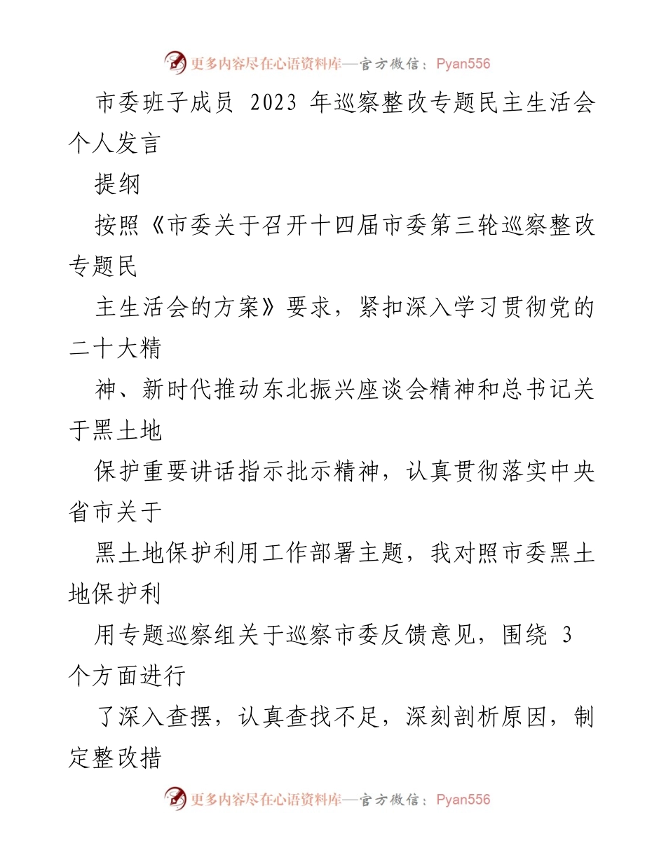 [发言] 市委班子成员巡察整改专题民主生活会 - 深入查摆黑土地保护利用工作中的不足及整改措施.docx_第1页