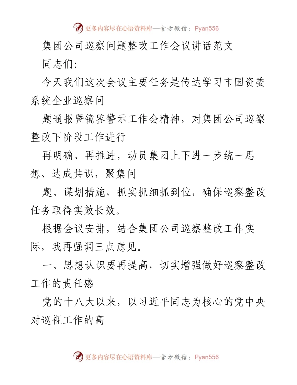 [发言] 巡察整改工作会议 - 强化责任意识，确保巡察整改落实到位.docx_第1页