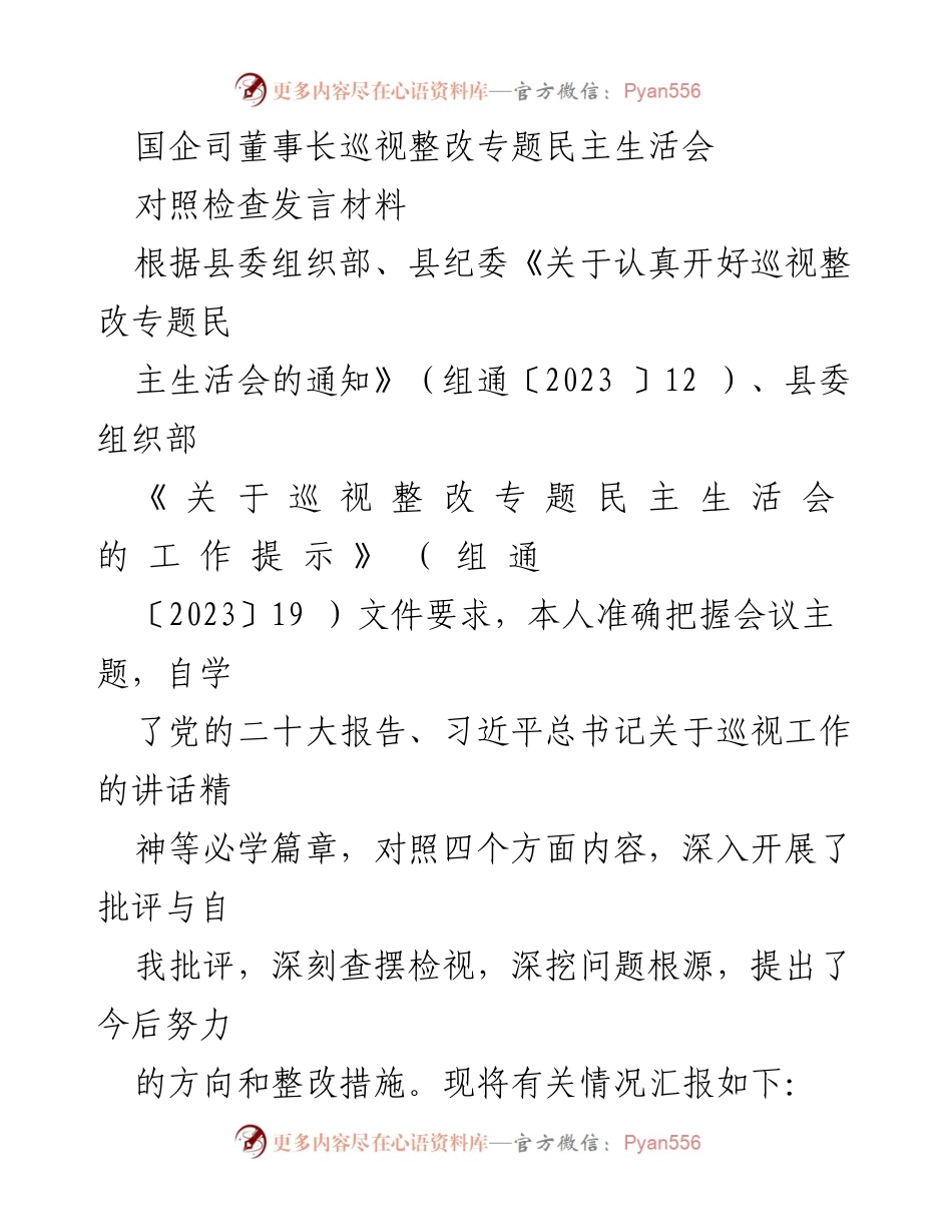 [发言] 巡视整改专题民主生活会 - 深入检视与整改措施汇报.docx_第1页