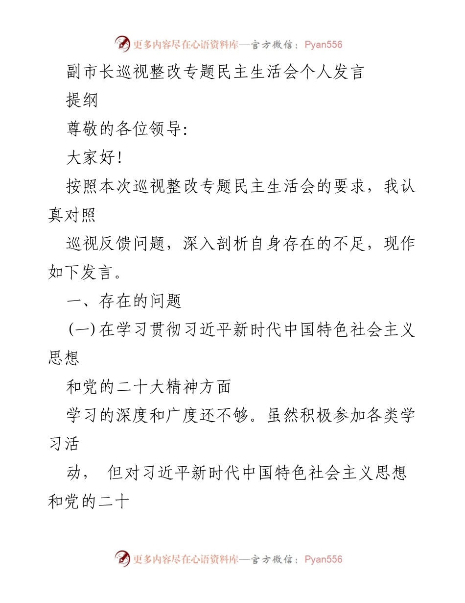 [发言] 巡视整改专题民主生活会 - 深入剖析自身不足，推动整改落实.docx_第1页