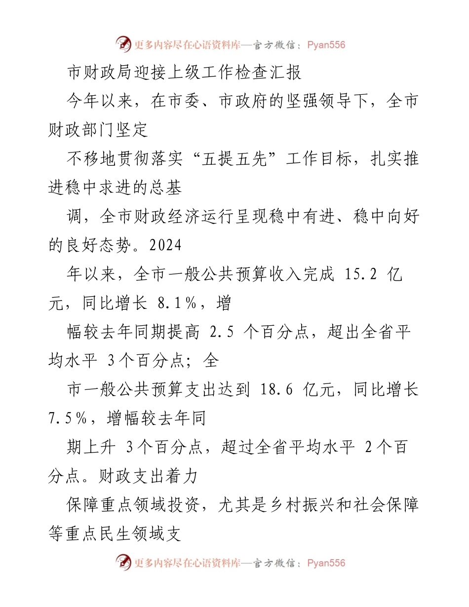 [发言] 工作检查 - 市财政局工作检查汇报及成效分析.docx_第1页