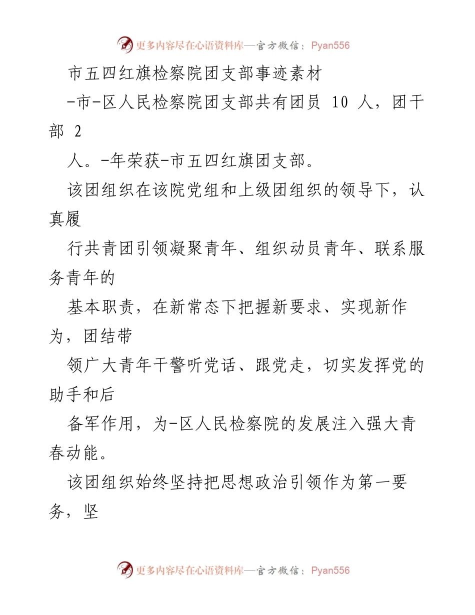 [发言] 市五四红旗团支部表彰会 - 市五四红旗团支部事迹分享与总结.docx_第1页